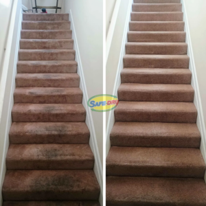Before and After Carpet Cleaning